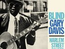 Blind Gary Davis - Harlem Street Singer [New LP Vinyl]