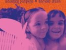 Smashing Pumpkins: Siamese Dream (2LP/Gat Remastered 180g)  LP vinyl *SEALED*