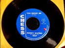 CHICAGO BLUES 45: MUDDY WATERS You Shook Me/Muddy Waters Twist CHESS 1827