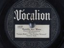Blues 78 TAMPA RED Bumble Bee Blues VOCALION 1619 HEAR 435