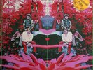 Acid/Fuzz/Psych-Rock BLUE MOUNTAIN EAGLE Self-Titled LP 1970 ATCO Promo VG