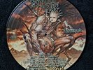 CANNIBAL CORPSE BLOODTHIRST PICTURE DISC VINYL Rare Death Metal lp record