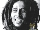 Bob Marley & The Wailers ‎– Kaya - LP-vinilo