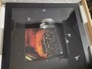 ALICE IN CHAINS Jars of Flies Limited Edition Box Set Tri Colored Vinyl In Hand