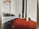 Declan McKenna - What Happened To The Beach? Alt Cover Ltd Ed Red Vinyl