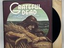 Grateful Dead - Wake Of The Flood - 1973 US 1st Press (EX) Ultrasonic Clean