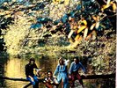 Wings - Wild Life - Beatles - JAPAN VINYL Insert -  AP-80377