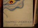 Trapped Under Ice Stay Cold Vinyl Turnstile Backtrack Foundation Gulch