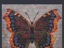The House Of Love: The House Of Love (180g) -   - (LP / T)
