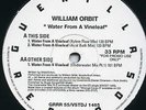 William Orbit - Water From A Vine Leaf 12