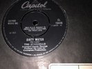 The STANDELLS  RARE 7”  1965 N- MINT VINYL 45rpm  Beat Mod  ( DIRTY WATER )