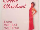 MODERN SOUL Carrie Cleveland - Love Will Set You Free / Make Love To Me (Sealed)