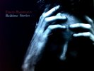 David Baerwald - Bedtime Stories LP (VG+/VG+) '*