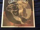 LONELY KAMEL Dust Devil LP WHITE STONER ROCK KYUSS UNIDA QOTSA MONSTER MAGNET