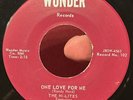 Georgia Rocker 45 HI LITES & RANDY HARD One Love For Me WONDER Rite Press VG+ *