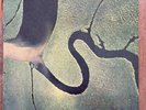 Dead Can Dance – The Serpent's Egg