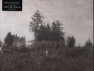 Damien Jurado - Saint Bartlett (Vinyl LP - 2010 - US - Original)
