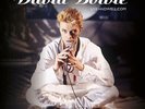 David Bowie - Liveandwell.Com Brilliant Live (Vinyl 2LP - 2023 - EU - Original)
