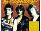 Moondogs That's What Friends Are For (Vinyl) 12