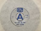 Andy Ellison John’s Children You .. a Beatles Co.Vers. C.Z with Marc Bolan Voice