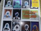 SUPER FURRY ANIMALS FUZZY LOGIC (B SIDES & BESIDES)  LIM GREEN VINYL LP RSD 2024