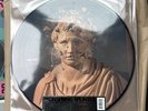 Offspring Splinter Picture Disc Lp Anniversary RSD LIMITED NEW
