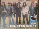 Lynyrd Skynyrd Icon - 2LP Root Beer Brown Vinyl - New & Sealed