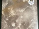 Trashcan Sinatras - Wild Pendulum - RSD Silver Vinyl - NEW Sealed