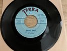 R&B Mod Inst. 45 -THE ESQUIRES - “ Smoke Rings” on Terra 1101 Mississippi LOOK