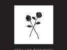 vinyl records lp, Mark Lanegan, Still Life With Roses, Remixes, 12