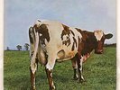 PINK FLOYD ATOM HEART MOTHER ODEON OP80102 JAPAN RED VINYL LP