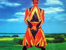 DAVID BOWIE-EARTHLING-ISO/MUSIC ON VINYL MOVLP815-GATEFOLD--LP