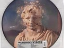 THE OFFSPRING - Splinter (RSD2024) LP picture Vinyl