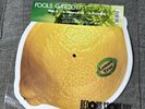 FOOLS GARDEN 