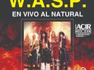 W.A.S.P 