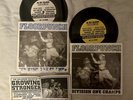 Floorpunch Division One Champs Njhc Straight Edge First Press