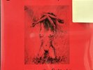 Fields of the Nephilim - Burning the Fields LP -Jungle Records - RSD 2024 SEALED