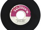 TWINKLE BROTHER'S / FEEL IT TO KNOW IT / I LOVE YOU SO / 7''