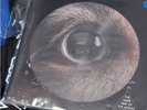 Roger Waters - The Dark Side Of The Moon Redux - LP Picture Disc RSD2024