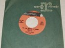 Brian Wilson Hale & The Hushabyes Yes Sir That’s My Baby 45 BEACH BOYS Jack N NM