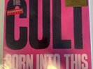 The Cult Born Into This Vinyl