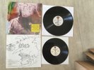 Meat Puppets  Too High to Die + 10 inch  EP