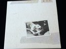 ∞ Fleetwood Mac Tusk Deluxe Edition Box Set Rhino Vinyl LP CD Box Set ∞