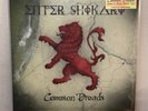 Enter Shikari - Common Dreads LP 2024 Re-Press - Green and Black Nebula Vinyl -