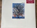 Talk Talk: Spirit of Eden--Original 1988 US Pressing Vinyl--SEALED