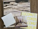 Rare Coconut Records Davy Vinyl Picture Lp, Jason Schwartzman, 7
