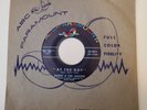 Danny & The Juniors  AT THE HOP (GREAT DOO WOP 45) #9871 PLAYS VG++ NO NOISE