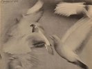 Donald Byrd Free Form NEAR MINT Blue Note Vinyl LP