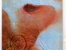 PINK FLOYD MEDDLE TOSHIBA EMS80322 JAPAN VINYL LP