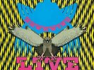 Hawkwind Live Seventy-Nine (Vinyl LP 12
